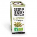 Cristaux d'huiles essentielles BIO à cuisiner, Cardamone - 10g - Aromandise 