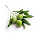 Olivie Plus 30X, angereichertes Olivenöl - Anti-Oxidationsmittel, Cholesterin und entzündungshemmend - 250ml - Olivie