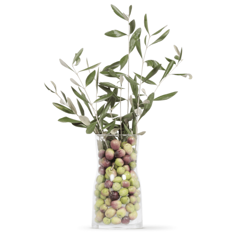 OLIVIE PowerUp, Perle miracolose di olivo del deserto, ricche di antiossidanti e resveratrolo - 340g - Olivie