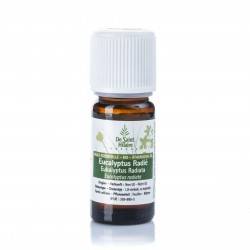 Eukalyptus radiata ätherisches Öl - 50ml - De Saint Hilaire