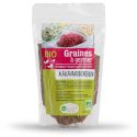Mélange de graines à germer BIO - Alfalfa, Radis & Cresson - 200g - De Bardo