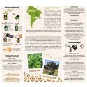 Wilder grüner Mate und Fairtrade aus Brasilien - 350g - Aromandise