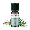 Teebaum ätherisches Öl - 10ml - De Saint Hilaire