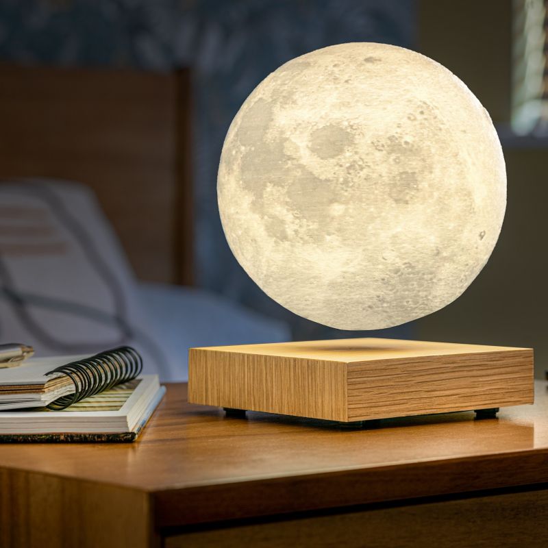 Lampe Lune suspendue écoçoncue avec base en Noyer - Gingko Design