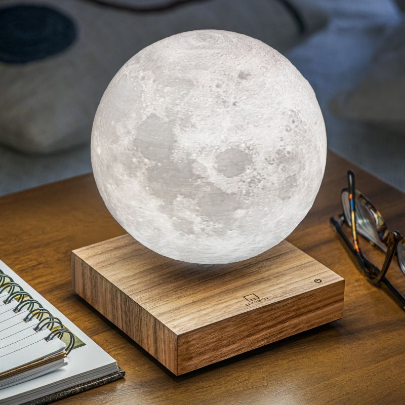 Lampe Lune suspendue écoçoncue avec base en Noyer - Gingko Design