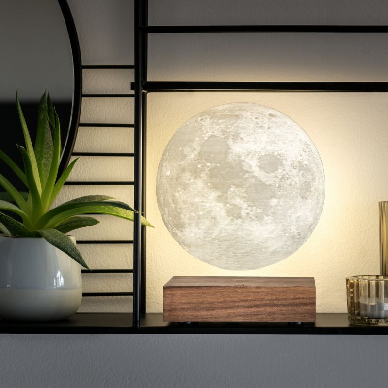 Lampe Lune suspendue écoçoncue avec base en Noyer - Gingko Design