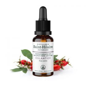 Madre-macerato biologico (glicerina) di gemme di Rosa canina - 30ml - Saint-Hilaire