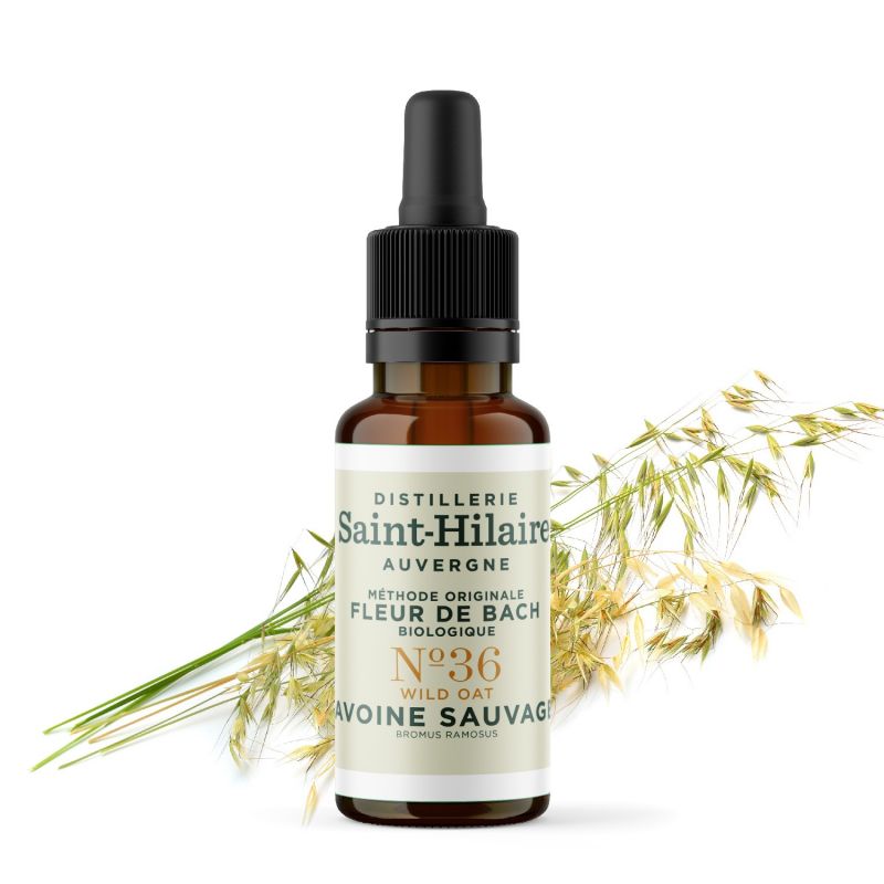 Fiori di Bach BIO "Metodo originale", N° 36, Avena selvatica, Wild Oat (Bromus ramosus) - 20ml - Saint-Hilaire