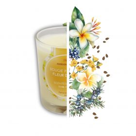 Candela ad olio Cade, Profumo Fleur de Tiaré - 400g, circa 45h - Ambiance Cade
