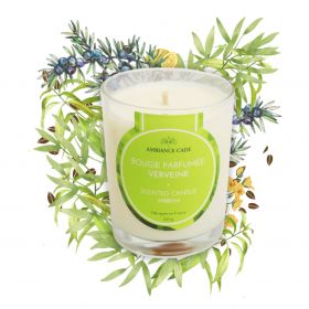 Bougie végétale à l'huile de cade, parfum Verveine - 400g, env. 45h - Ambiance Cade