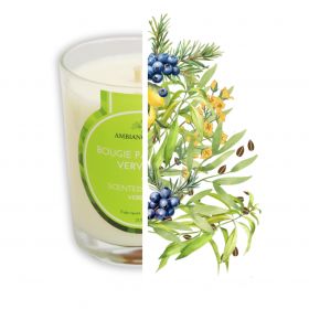 Bougie végétale à l'huile de cade, parfum Verveine - 400g, env. 45h - Ambiance Cade