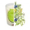 Bougie végétale à l'huile de cade, parfum Verveine - 400g, env. 45h - Ambiance Cade