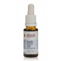 Tanukh - Öl zur Behandlung und und Erleichterung bei Mittelohrentzündung - 20ml - Herbs of Kedem 
