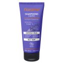 Öliges Haar Shampoo (Grapefrucht, Petit Grain und Rosmarin) - 200ml  - Florame
