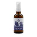 Olio vegetale (biologico) di Seme d'uva - 50ml - De Saint Hilaire