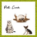 Shampooing solide pour chien et chat, poils courts - 60g - Pepet's