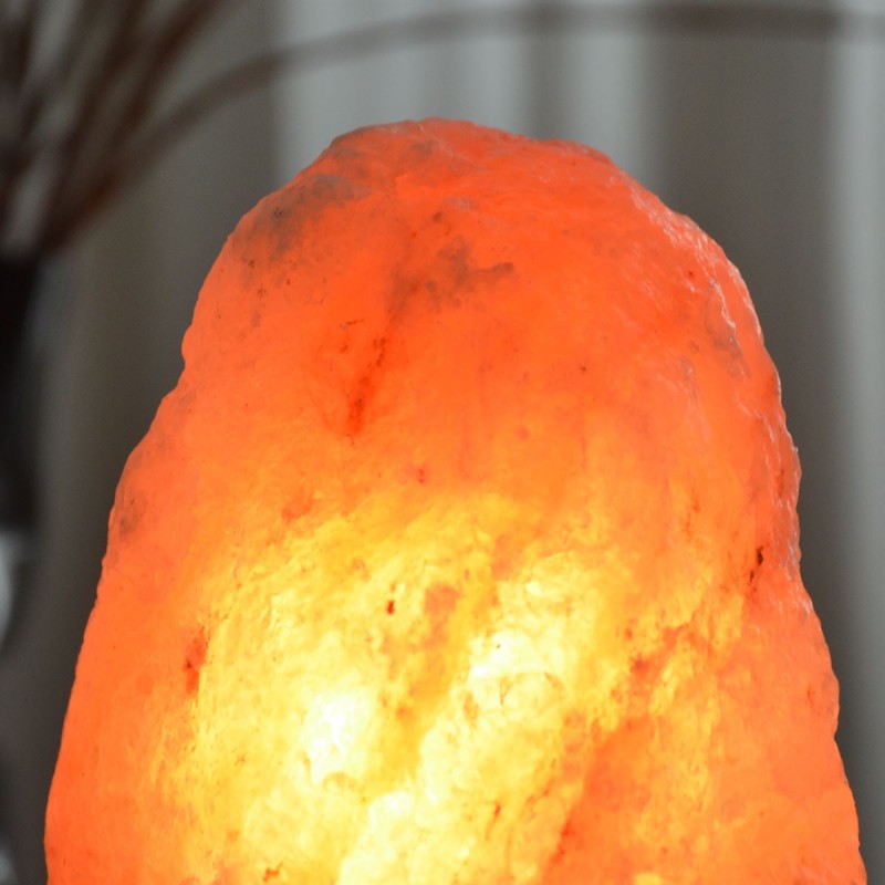 Lampada a cristallo di sale dell'Himalaya, 2 o 3 kg - ZEN'Arôme